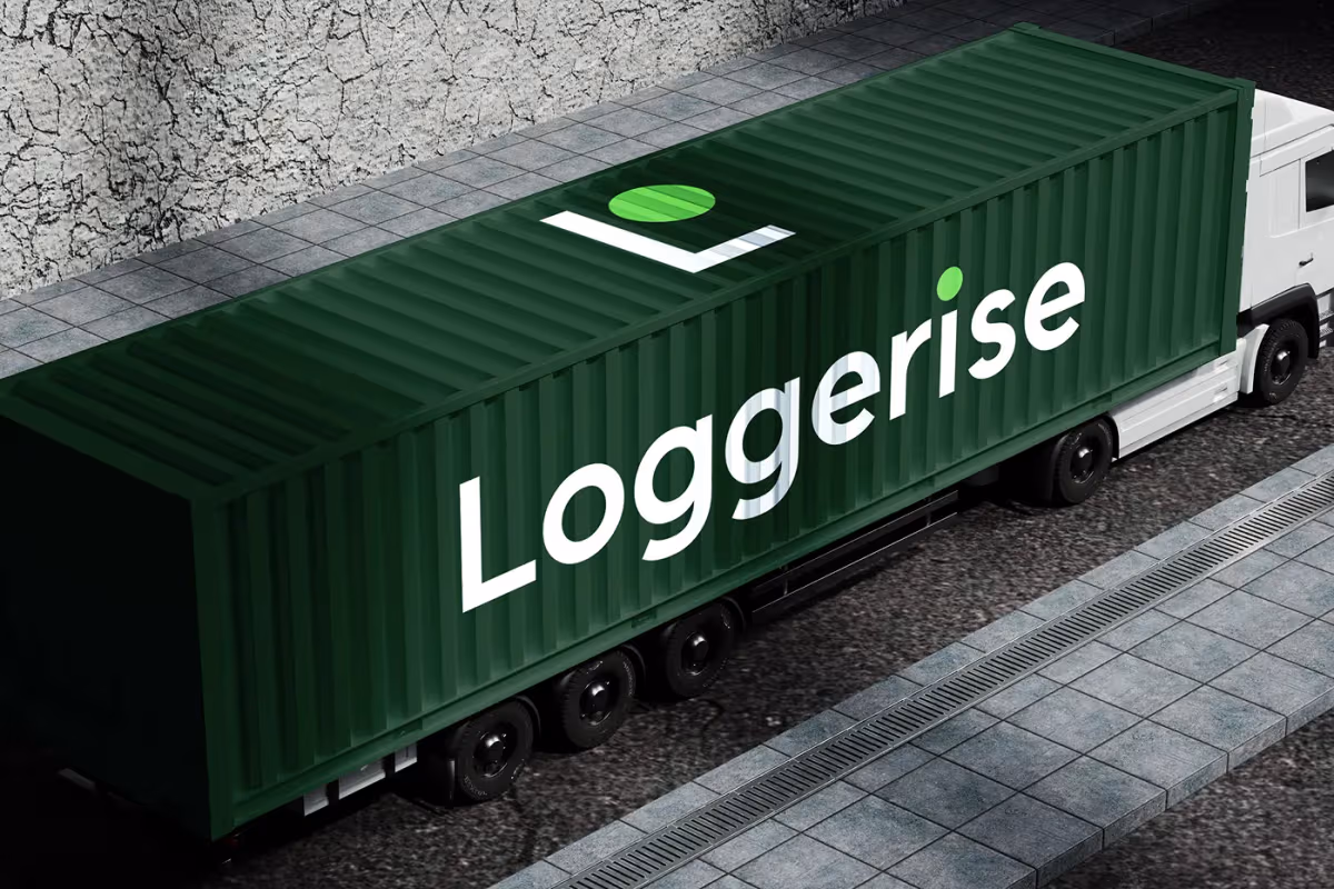 Tam Destek Dönüşümü